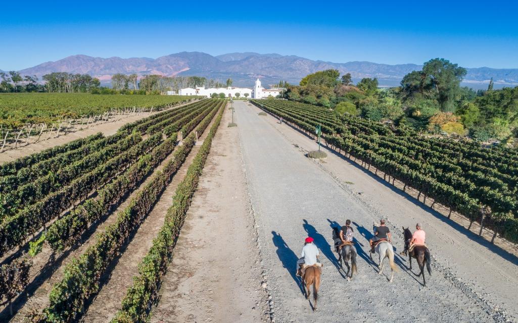 BODEGA EL ESTECO