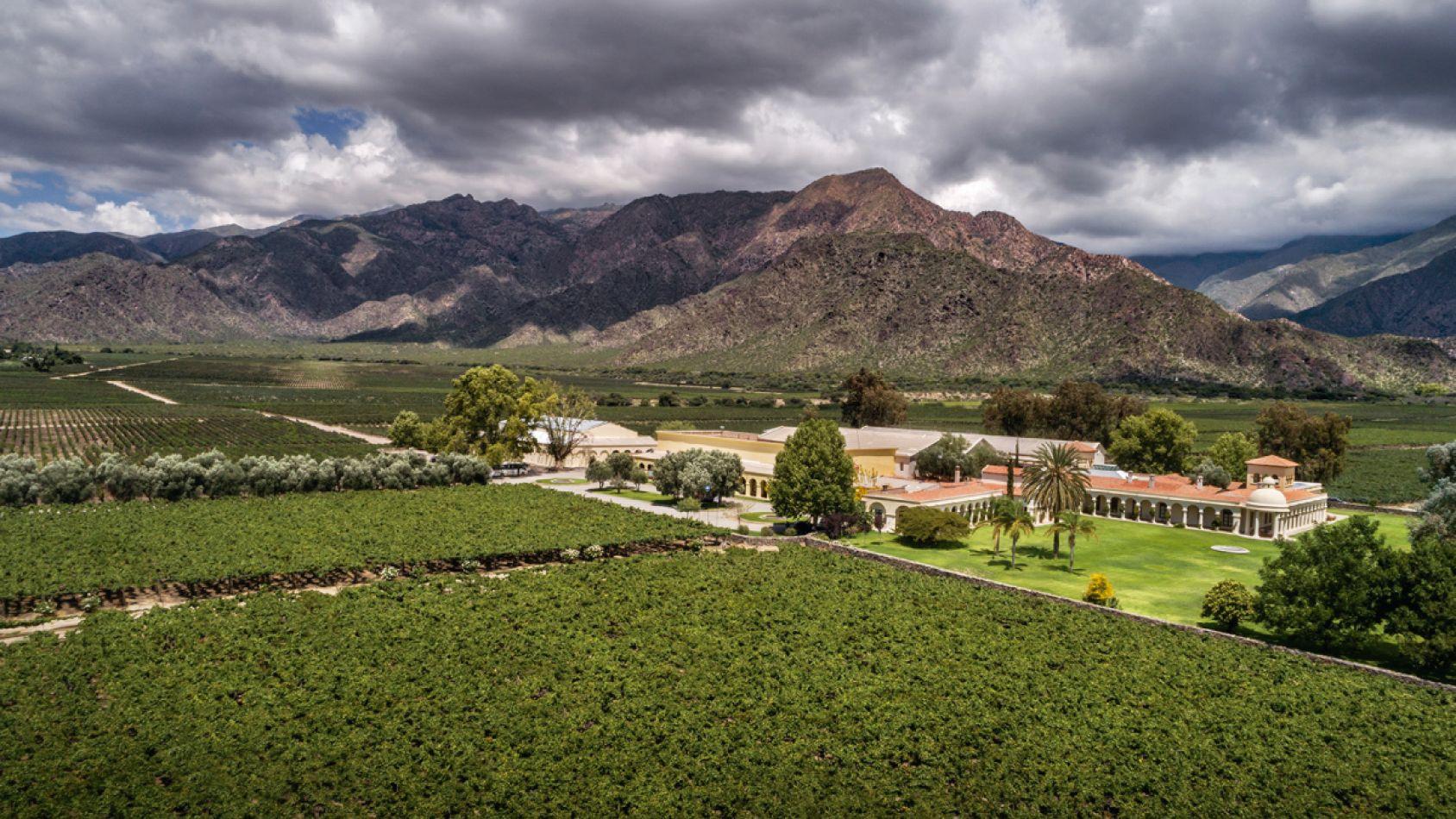 FINCA QUARA BODEGA