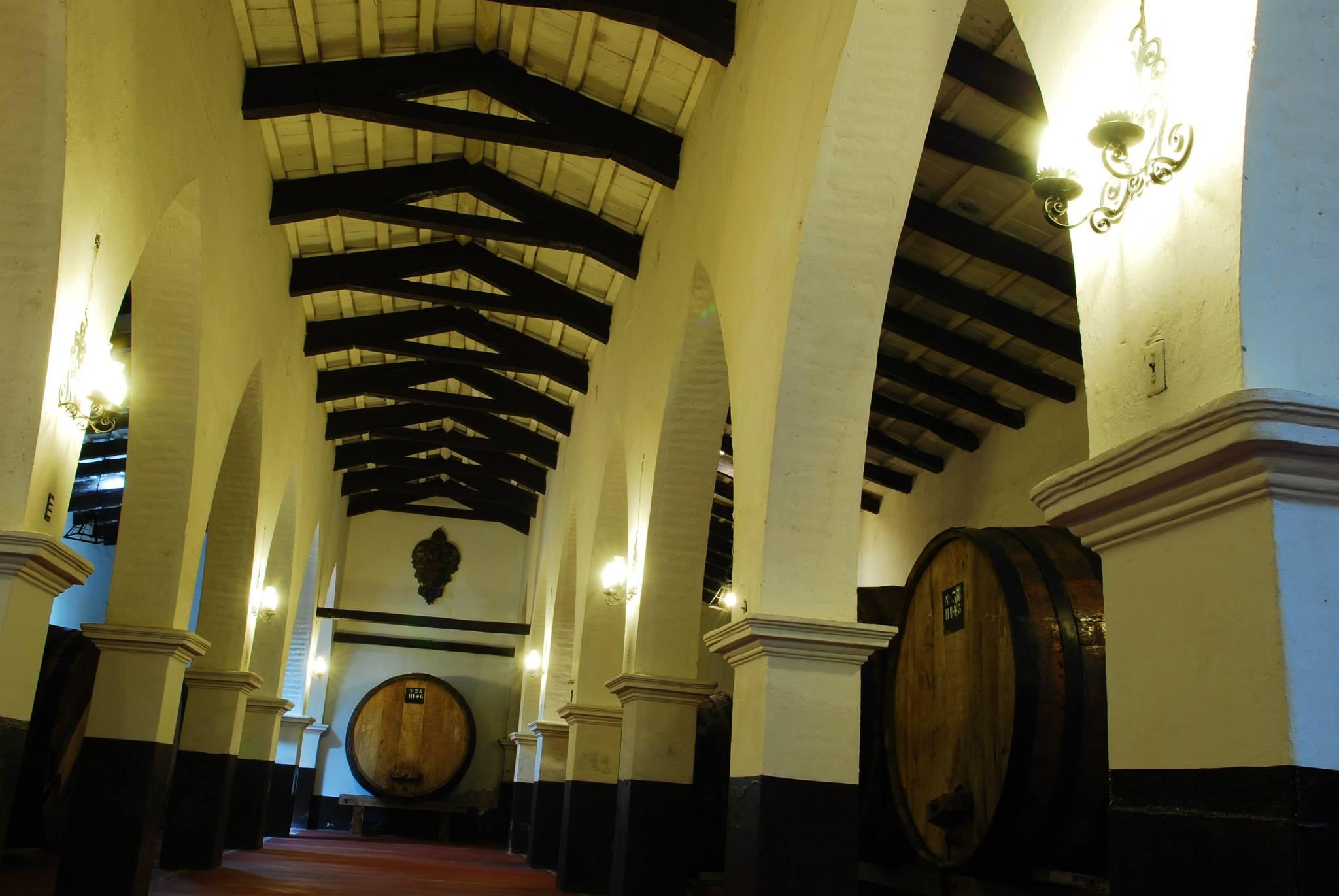 VIÑAS DE ANIMANA