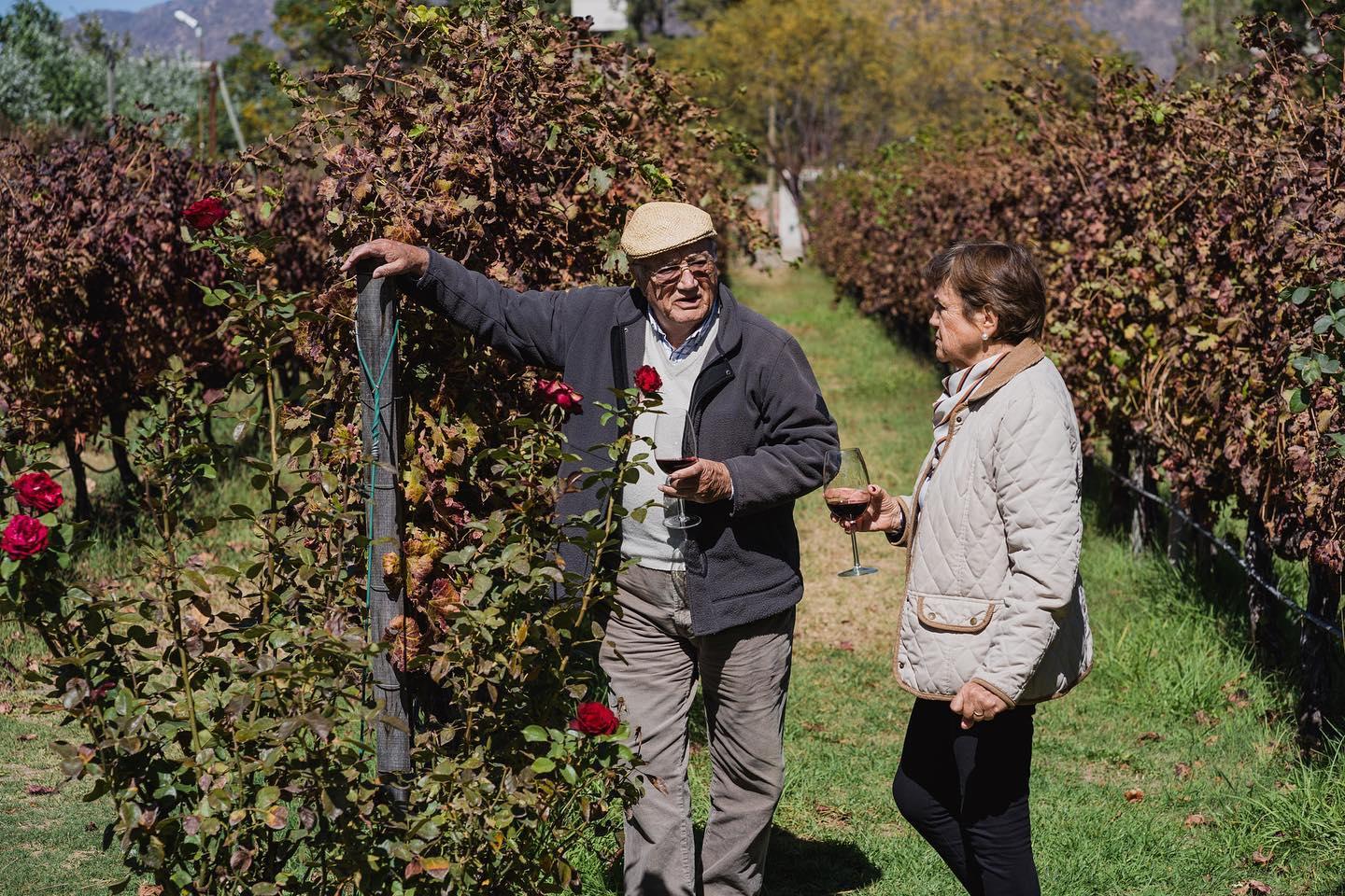 BODEGA DOMINGO HERMANOS-EXPERIENCIA INOLVIDABLE