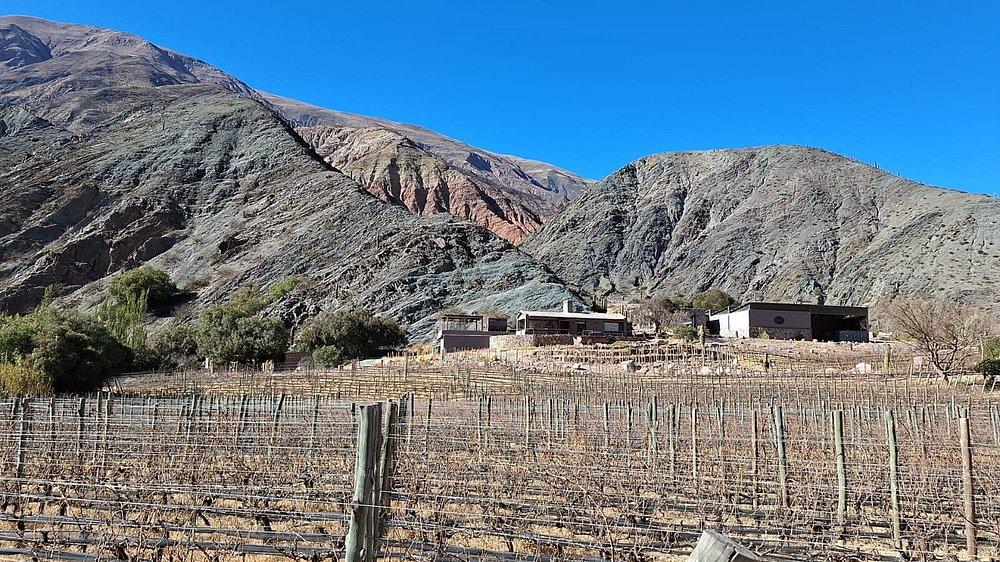 BODEGA AMANECER ANDINO-HUMAHUACA