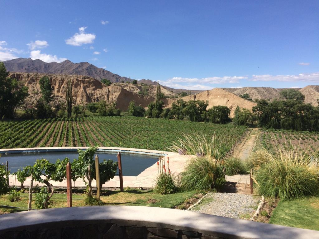 TOUR DE VINOS A CACHI DESDE SALTA- PRIVADO