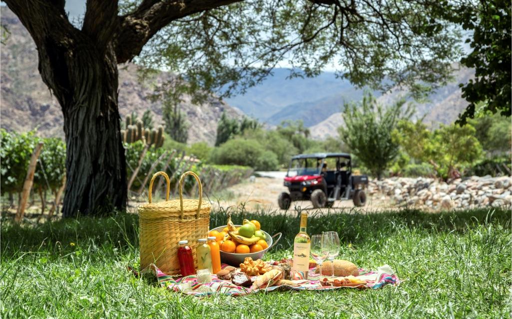 Piatelli: Experiencia de Trekking y Picnic