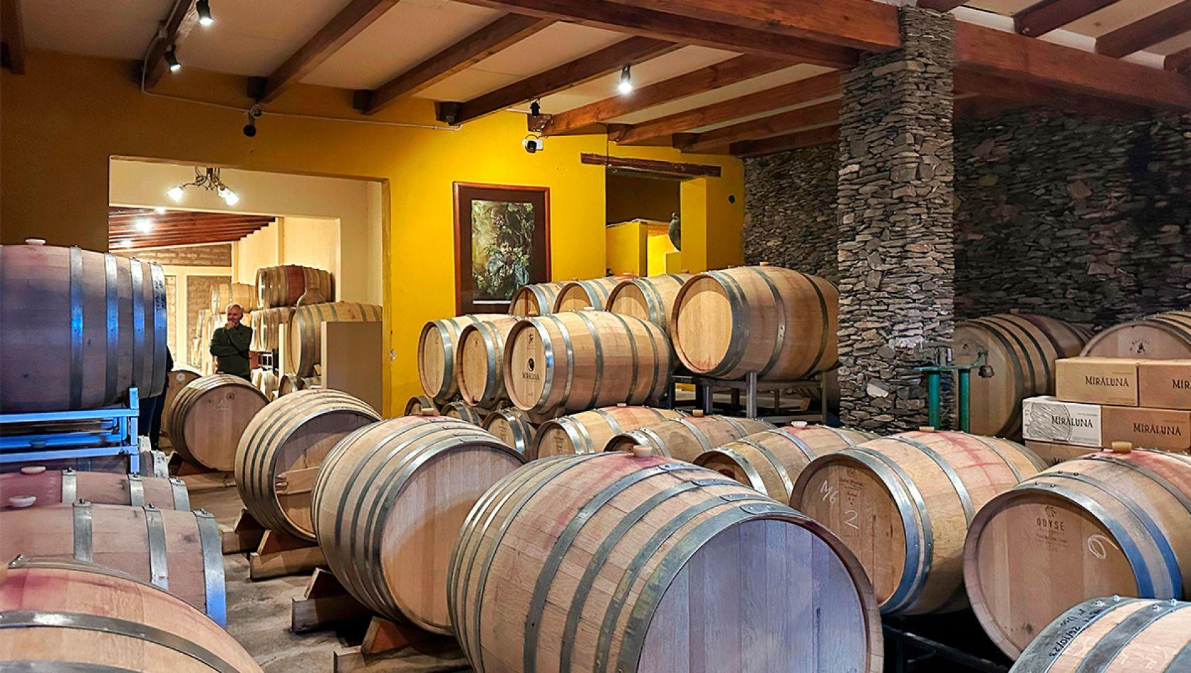 Bodega Miraluna: Un Destino Enoturístico de Altura