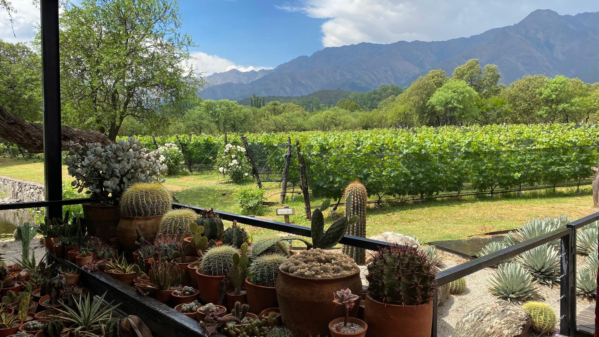 Aráoz de Lamadrid - Hotel & Bodega